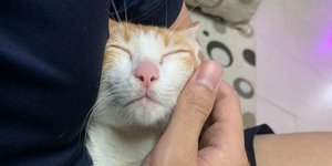 Απίθανη! /Φωτογραφία: Instagram/Lac Lac