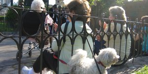 καγκελα σκυλος 