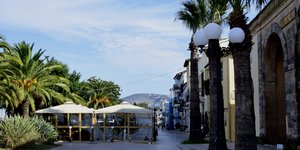 μαγαζι τζαμια φοινικες