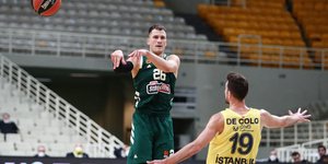 Ο Νεμάνια Νέντοβιτς