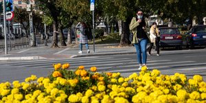 κιτρινα λουλουδια
