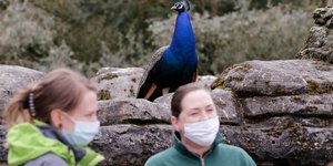 Ο ζωολογικός κήπος της Ουάσινγκτον 