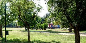 Ακαδημία Πλάτωνος