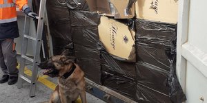 Διεθνές κύκλωμα λαθραίων τσιγάρων εντόπισε η ΑΑΔΕ