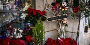 ανθοπωλειο μικι 