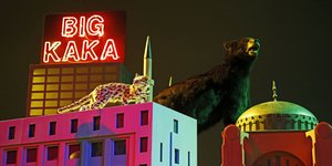 ζωα σε στεγη 