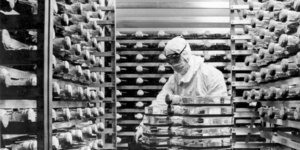 Επιστήμονας σε εργαστήριο ανάπτυξης εμβολίου