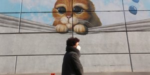 Γκράφιτι με γάτα στη Νότια Κορέα