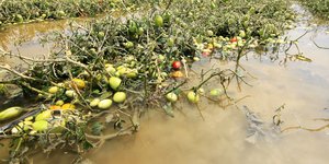 Κακοκαιρία