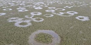 Οι κύκλοι στον πυθμένα της λίμνης Κερκίνης