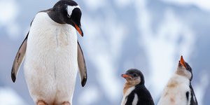 Υπέροχη στιγμή! /Φωτογραφία: Shutterstock
