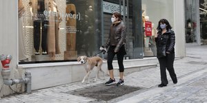 στην ερμού με σκύλο