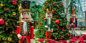 καρυοθραύστης 