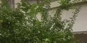 Χαλάζι στο Αιγάλεω