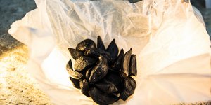 Μαύρο σκόρδο, Κατηχώρι