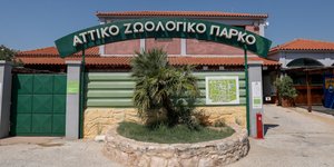 Αττικό Ζωολογικό Πάρκο