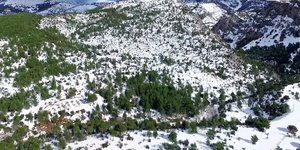 Εύβοια: Μαγεύουν οι εικόνες του χιονισμένου όρους Δίφρυς