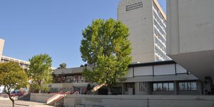 εισοδος σκαλα ΑΠΘ
