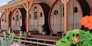 Το ιδιαίτερο ξενοδοχείο με τα γιγαντιαία βαρέλια κρασιού ως δωμάτια στην Ολλανδία