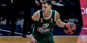 Ο Νεμάνια Νέντοβιτς