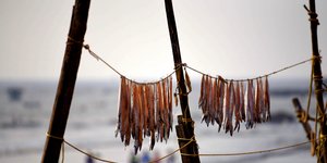 Τα ψάρια αφήνονται να στεγνώσουν στον ήλιο