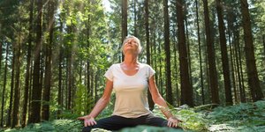 Τι είναι το shinrin yoku