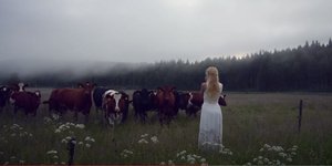 Η YouTuber, Jonna Jinton, καλεί αγελάδες τραγουδώντας τους