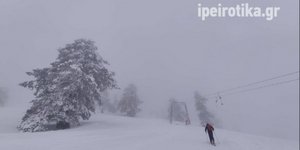Βασιλίτσα χιόνι