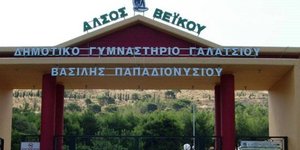 Άλσος Βεΐκου