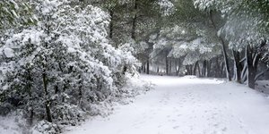 Αλπικό σκηνικό στο Άλσος Συγγρού