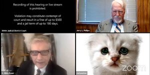 Δικηγόρος με φίλτρο γάτας