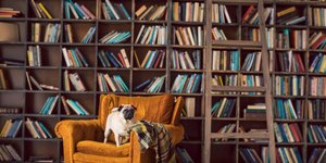 Πώς να οργανώσετε τη βιβλιοθήκη του σπιτιού σας
