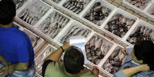 Θεσσαλονίκη: Κρούσματα στην ιχθυόσκαλα εντόπισαν τα covid test -Μπήκαν σε καραντίνα