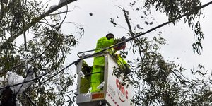 Συνεργεία κόβουν κλαδιά δέντρων που έχουν πέσει στα καλώδια της ΔΕΗ