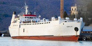 Ισπανία: Θα σφαγιαστούν οι αγελάδες του πλοίου Karim Allah που περιπλανιόταν για μήνες στη Μεσόγειο	