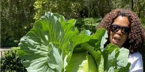 Λάχανο Οπρα Γουίνφρει