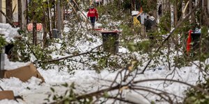 Πεσμένα δέντρα μετά την κακοκαιρία που έπληξε τη Μαδρίτη