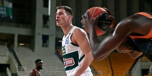 Ο Νεμάνια Νέντοβιτς