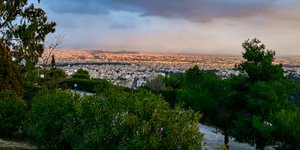 δασος θεα πολη