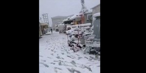 πρόσφυγες Ελαιώνας χιόνια