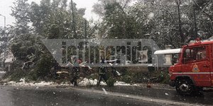 Πτώση δέντρου κοντά στη Βουλή 