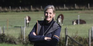 Η Σοφία, Κόμισσα του Ουέσσεξ