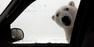 Τα πιο αστεία Tweets για το χιόνι 