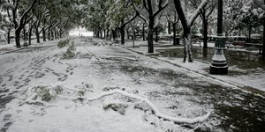 Υπουργείο Εργασίας: Σύσταση για την προστασία της υγείας και ασφάλειας των εργαζόμενων διανομέων