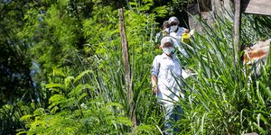 Υγειονομικοί στην Βραζιλία