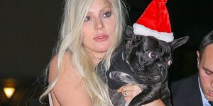 Η Lady Gaga με ένα από τα σκυλιά της
