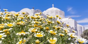 μαργαριτες εκκλησια