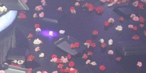 Μπουζούκια γαρύφαλλα