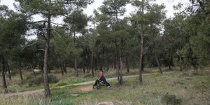 Πολίτης εξασκείται σε παγκάκι στο δάσος του Σέιχ Σου