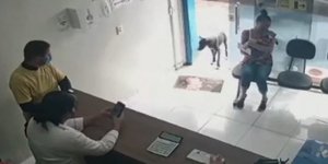 Η στιγμή που ο αδέσποτος λαβωμένος σκύλος μπαίνει στο κτηνιατρείο 